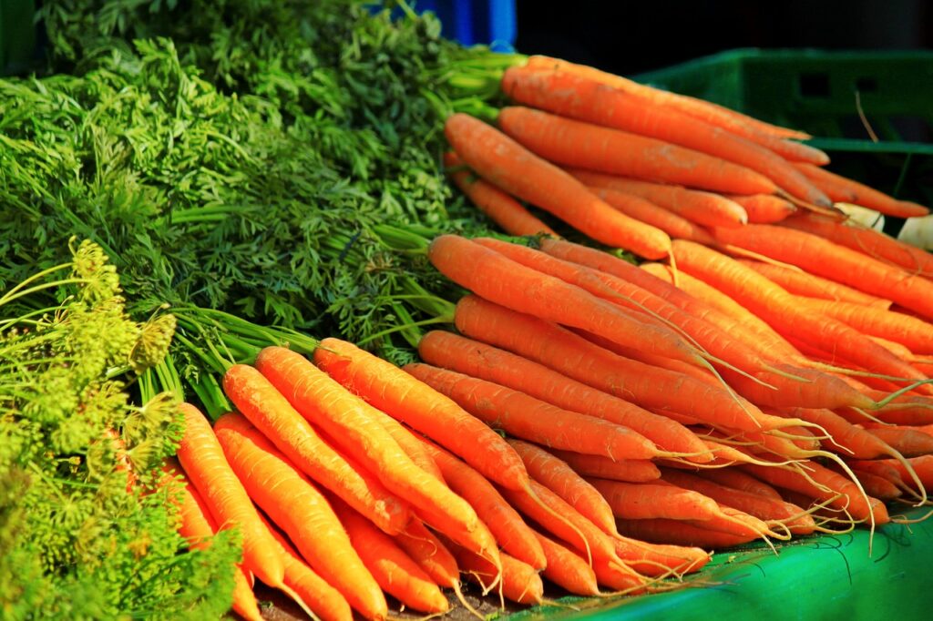 carrots, vegetables, healthy-874981.jpg